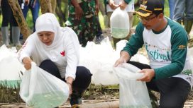 Gubernur Jawa timur Khofifah Indar Parawansa, saat menebar bibit ikan di perairan pulau Lusi Sidoarjo, Minggu (29/1).