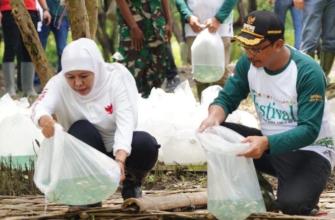
					Gubernur Jawa timur Khofifah Indar Parawansa, saat menebar bibit ikan di perairan pulau Lusi Sidoarjo, Minggu (29/1).