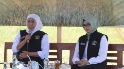 Gubernur Jatim Khofifah bersama Bupati Blitar Rini Syarifah, saat panen padi aplikasi biosoka di Desa Soso kecamatan Gandusari, Blitar, Sabtu (27/5/2023)