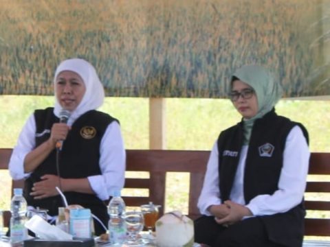 Gubernur Jatim Khofifah bersama Bupati Blitar Rini Syarifah, saat panen padi aplikasi biosoka di Desa Soso kecamatan Gandusari, Blitar, Sabtu (27/5/2023)