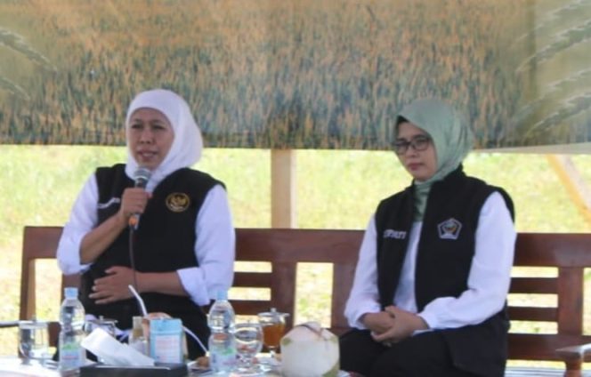 
					Gubernur Jatim Khofifah bersama Bupati Blitar Rini Syarifah, saat panen padi aplikasi biosoka di Desa Soso kecamatan Gandusari, Blitar, Sabtu (27/5/2023)