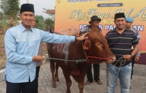 Kapolres Pasuruan AKBP Bayu Pratama saat menyerahkan hewankurban di halaman Rusun Polres Pasuruan, Kamis (29/6/2023)
