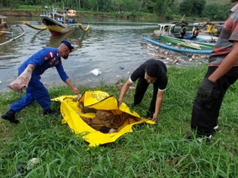 Penemuan Mayat Mengapung Gegerkan Warga Dusun Grujukan