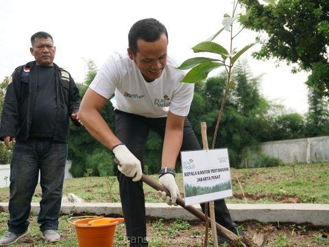 PLN UIT JBB Tanam 3.000 Pohon di 41 Titik Lokasi, Momen Hari Menanam Pohon Indonesia