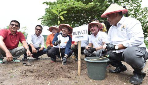 Penjabat (Pj.)j Bupati Pasuruan, Dr. Andriyanto, melakukan penanaman pohon di Kawasan Industri Wisata Industri Sumber Nyamplung, Dusun Tembong, Desa Plintahan, Kecamatan Pandaan, Sabtu (03/02/2024).