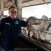 Diatas lahan seluas 14.5 hektare, melalui PT LSAJ, Arie Triyono ingin membangun peternakan sapi dan domba terintegrasi yang dikenal sebagai 