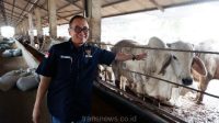 Diatas lahan seluas 14.5 hektare, melalui PT LSAJ, Arie Triyono ingin membangun peternakan sapi dan domba terintegrasi yang dikenal sebagai 