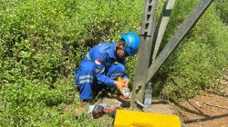 PLN Tuntaskan Perbaikan Titik Sambungan Grounding Kaki Tower 91 Saketi – Rangkas