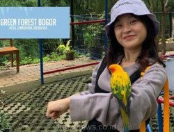 Green Forest Hotel Bogor, Suguhkan Pemandangan Alam Hingga Wisata Edukasi