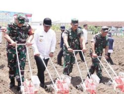 Kapolri Bersama Panglima TNI Tanam Jagung di Sidoarjo