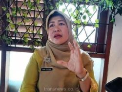 Pj Sekda Kota Depok, Nina Suzana