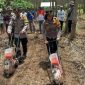 Kapolsek Ambulu AKP Latifa saat menggelar kegiatan penanam jagung