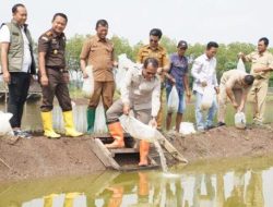 Pj Bupati Pasuruan Bersama Kajari Tebar Benih Ikan Bandeng