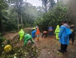 Jalur alternatif wisata Cangar yang menghubungkan Pacet, Mojokerto, dengan Batu, Malang, ditutup total akibat longsor yang membawa material lumpur, bebatuan, dan pohon tumbang.