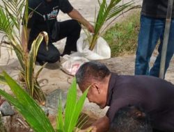 Tangkal Abrasi pengelola pantai papuma tanam berbagai pohon