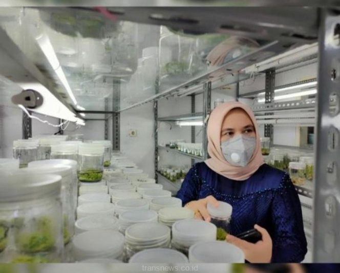 
					Legislator Ini Paling Peduli Yatim pada SPMB Kota Depok 2025