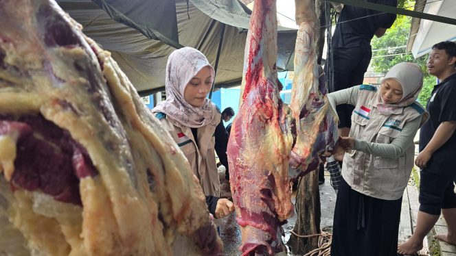 
					PLN UIT JBB Tebar Ribuan Paket Daging di Idul Adha 2025