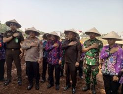 Panen Raya Jagung Serentak Kuartal II, Dukung Program Swasembada Pangan Presiden Prabowo