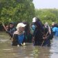 Dokumentasi: Penanaman Mangrove yang dilakukan oleh mahasiswa UPER bersama dengan Pertamina Foundation