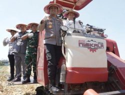 Bupati dan Kapolresta Sidoarjo Pimpin Panen Raya Jagung Program Polri Kuartal III 2025 di Kecamatan Balongbendo