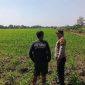 Dukung Ketahanan Pangan Nasional, Polisi Turun ke Sawah 