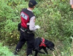 Dibantu Anjing Pelacak Unit K-9, Polda Jatim Indentitas Korban Mutilasi Pacet Berhasil Terungkap
