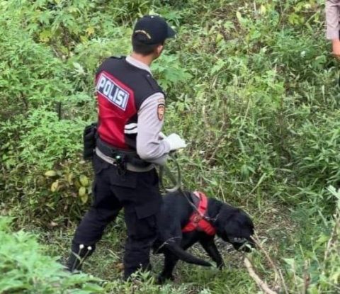 Dibantu Anjing Pelacak Unit K-9, Polda Jatim Indentitas Korban Mutilasi Pacet Berhasil Terungkap