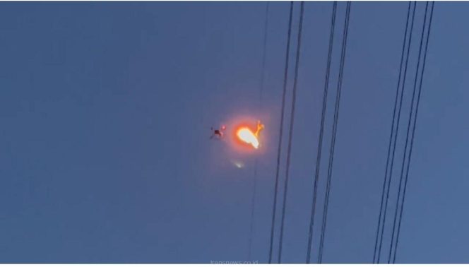 
					Momentum Hari Pelanggan, PLN Inovasi Peralatan Evakuasi Benda Asing Demi Keandalan Listrik