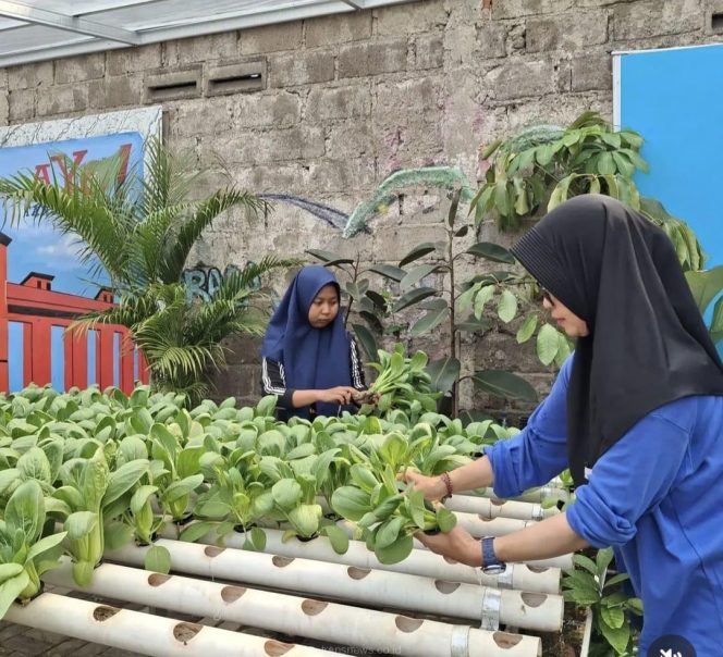 
					PLN UIT JBB Salurkan Bantuan Bibit Tanaman lewat Program TJSL