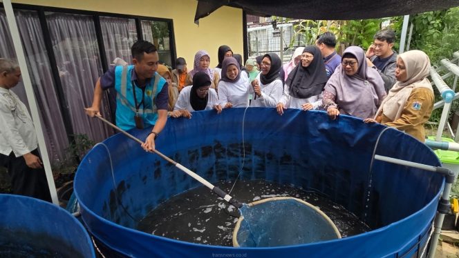 
					Panen Raya PLN Peduli Bersama Lansia, Ubah Pekarangan Jadi Harapan