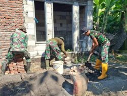 TMMD ke-126 Kodim 0816/Sidoarjo Renovasi Rumah Tidak Layak Huni di Desa Kedondong