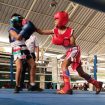 Fun Fight Boxing Perdana Pertina Sidoarjo Diserbu 84 Atlet Amatir
