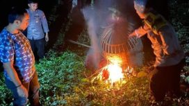 Polres Malang Bongkar Lokasi Judi Sabung Ayam di Sumberpucung Malang