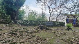 Temuan Tonggak Penebangan di Beteng Portugis Picu Pertanyaan Tata Kelola Cagar Budaya