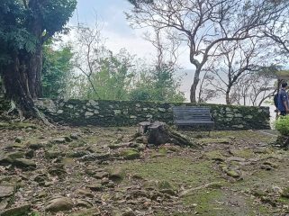 Temuan Tonggak Penebangan di Beteng Portugis Picu Pertanyaan Tata Kelola Cagar Budaya