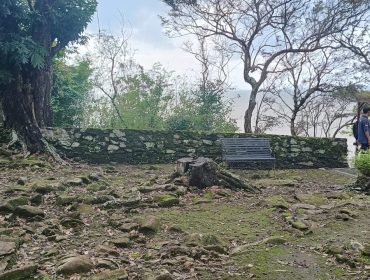 Temuan Tonggak Penebangan di Beteng Portugis Picu Pertanyaan Tata Kelola Cagar Budaya