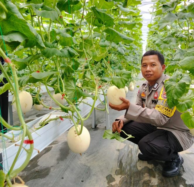 
					PLN UIT JBB Dorong UMKM Naik Kelas Lewat Program PLN Peduli di Cilegon