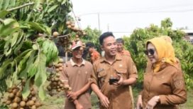 Wisata Petik Klengkeng Yulianto Garden Farm Jadi Daya Tarik Baru di Sidoarjo