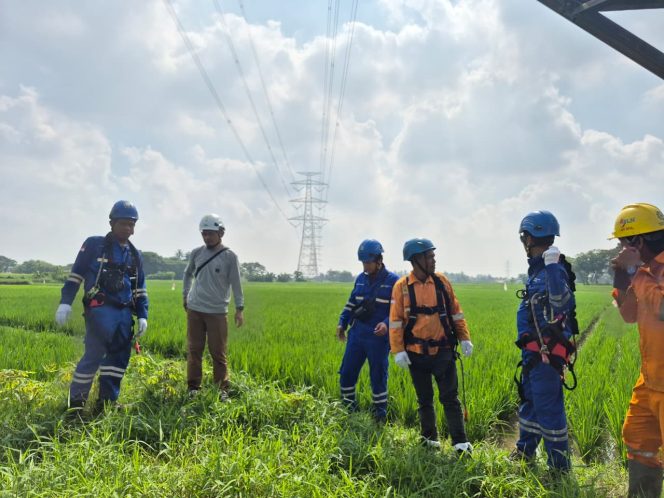 
					Antisipasi Gangguan Petir, PLN UPT Cikupa Rawat Tower 500 kV Jawa 7–Balaraja