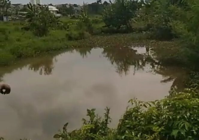 
					Gelombang Sebut Harmoni Piminan Daerah dengan APH Jadi Hambatan Penanganan Kasus Korupsi