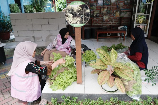 
					Menyalakan Harapan dari Karawaci: Panen Hortikultura KWT Urang Baraya Bukti Energi Menggerakkan Kehidupan