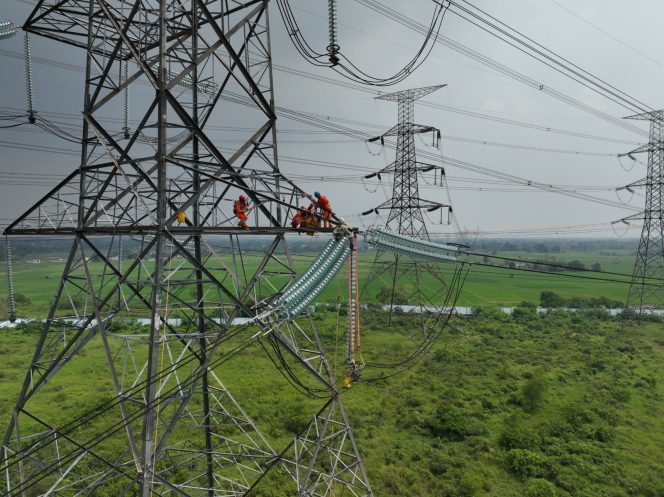 
					PLN Perkuat Keandalan Listrik Jawa-Bali Lewat Pemeliharaan SUTET 500 kV Tanpa Padam
