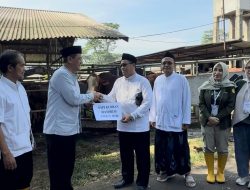 Serah terima sapi kurban banpres Prabowo Subianto dari Kepala DKP3 Kota Depok, Dadan Rustandi kepada Ketua DKM An-Nasul Hadi Sawangan, Amat Sairan di RPH Kota Depok.