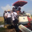 Bupati Boyolali Agus Irawan lakukan panen raya padi di area sawah Desa Sangge, Kecamatan Klego, Kabupaten Boyolali