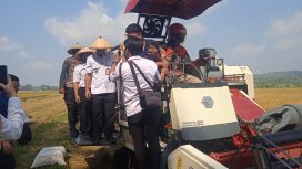 Bupati Boyolali Agus Irawan lakukan panen raya padi di area sawah Desa Sangge, Kecamatan Klego, Kabupaten Boyolali