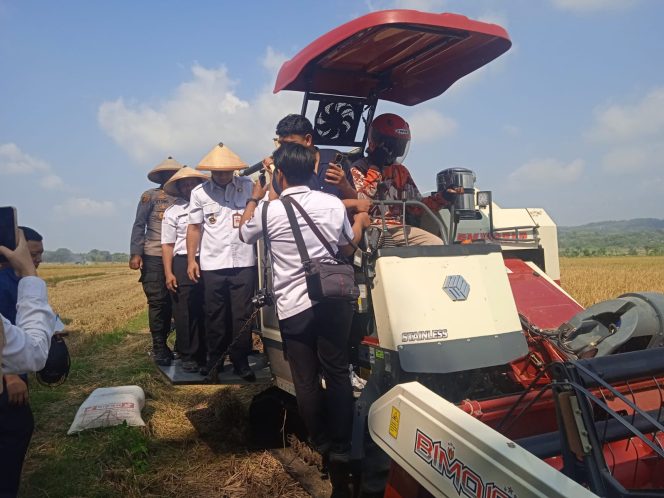 
					Bupati Boyolali Agus Irawan lakukan panen raya padi di area sawah Desa Sangge, Kecamatan Klego, Kabupaten Boyolali