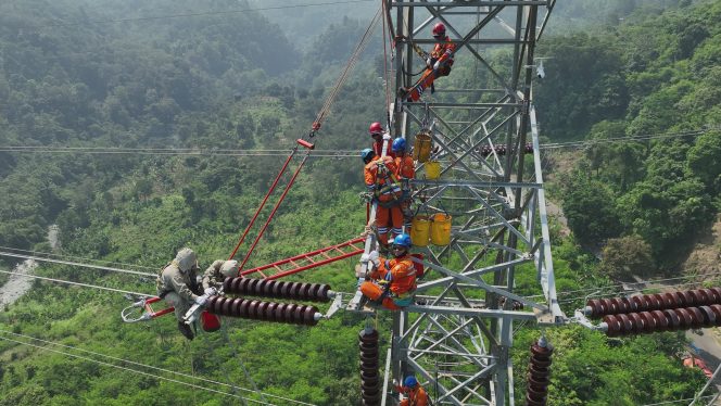 
					Capaian PLN Jaga Keandalan Sistem, Penggantian Isolator SUTT 150 kV Pratu–Bayah Berhasil Dilaksanakan Tanpa Padam
