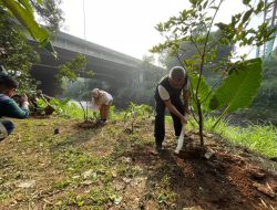 Penanaman pohon di bantaran Ciliwung