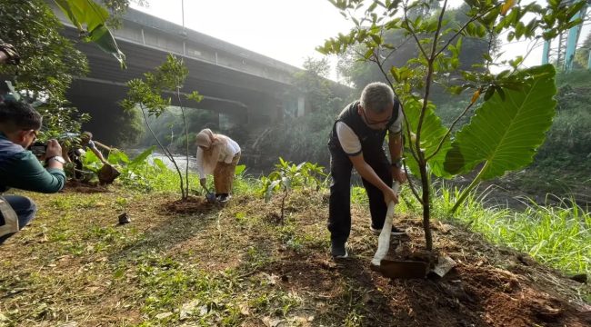 Penanaman pohon di bantaran Ciliwung