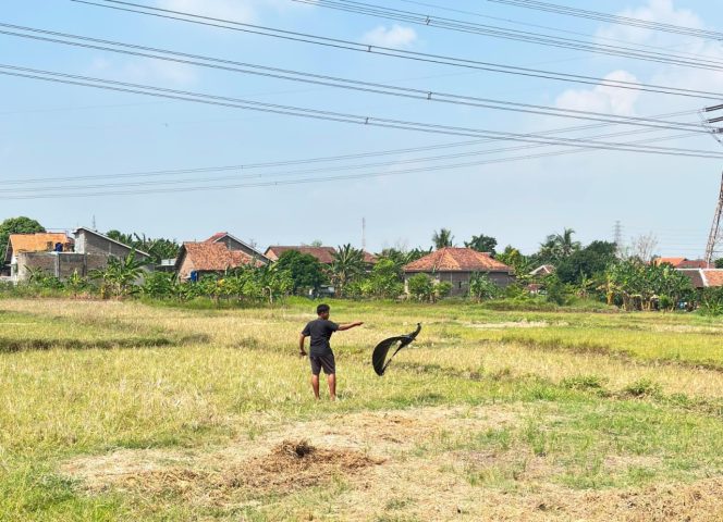 
					Jaga Keandalan Sistem Transmisi Selama Libur Sekolah, PLN Gelar Program LANTANG dan Sweeping Layang-Layang